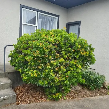 Totara Lodge Motel Levin Exterior photo