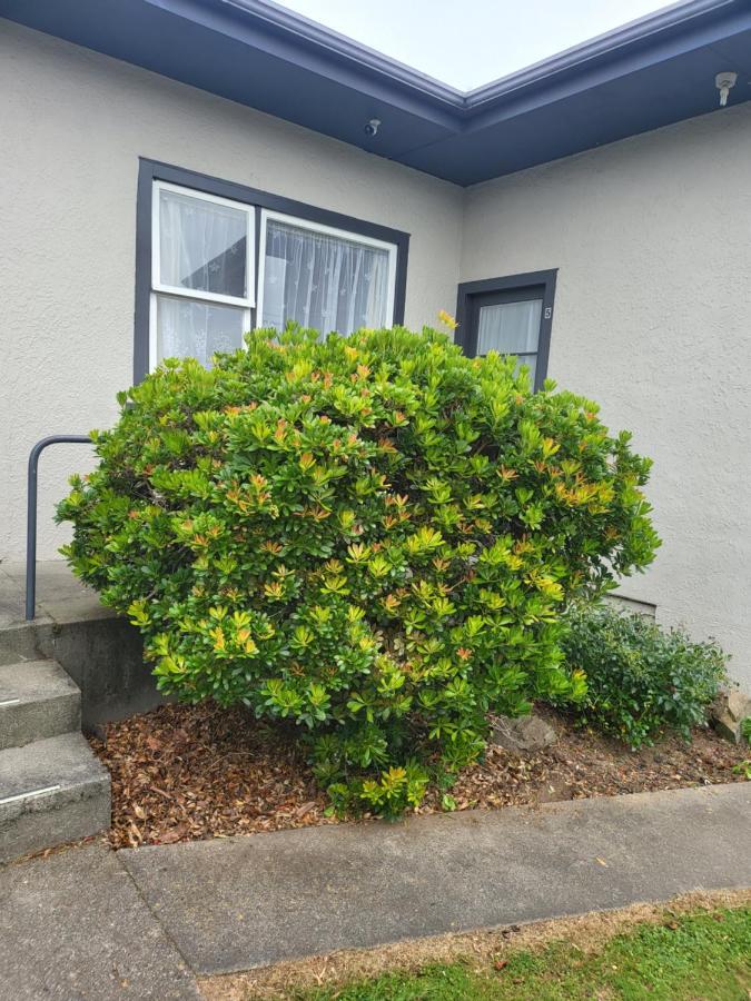 Totara Motel Levin