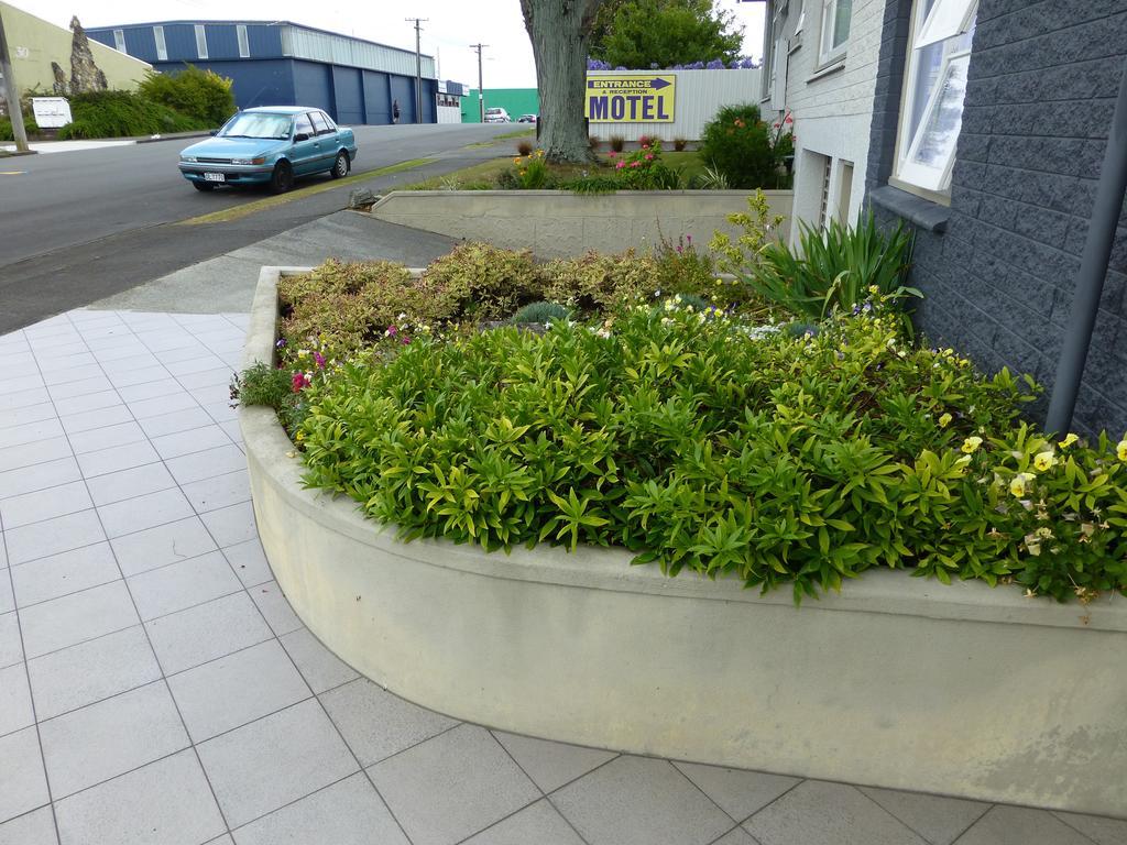 Totara Levin