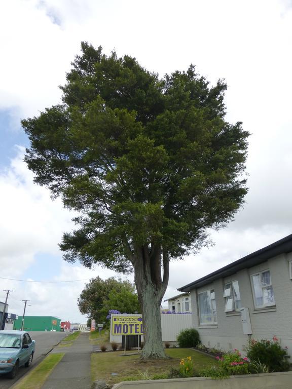 Totara Motel 3*